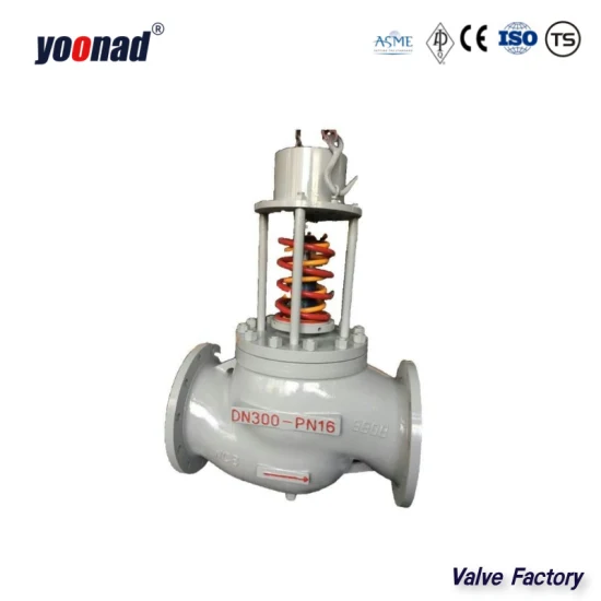 Hot Sale A105/SS304/SS316 High Pressure 500lb/800lb/1000lb Anti-Corrosion Friction Resistant Swing Check Valve